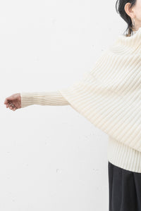 tous les deux ensemble/Rebuilding Rib Knit Sweater